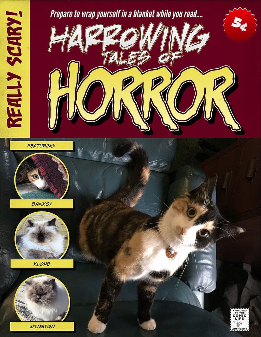 Comic-Cover-#2.jpg