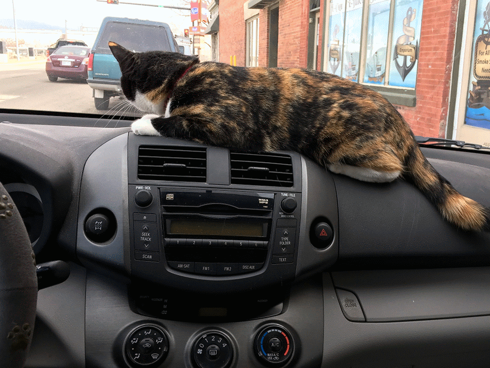 Banksy's-Big-Trip.gif